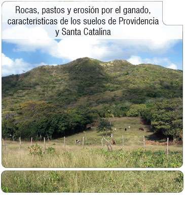 Titulo de imagen noticia imagen texto alternativo