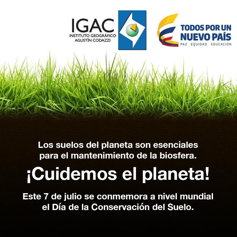 Titulo de imagen noticia imagen texto alternativo