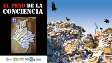 imagen texto alternativo