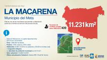 imagen texto alternativo