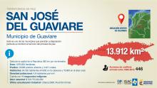 imagen texto alternativo