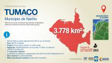 imagen texto alternativo