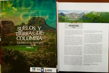 imagen texto alternativo