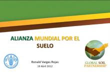 imagen texto alternativo