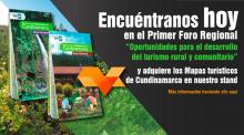 imagen texto alternativo