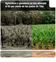 imagen texto alternativo