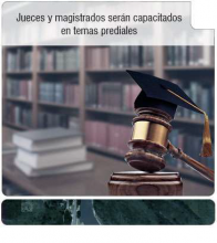 imagen texto alternativo