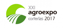 imagen texto alternativo