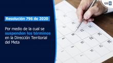 Suspensión términos meta