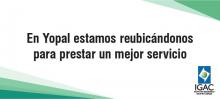imagen texto alternativo