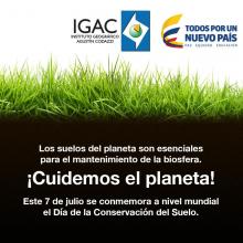 imagen texto alternativo